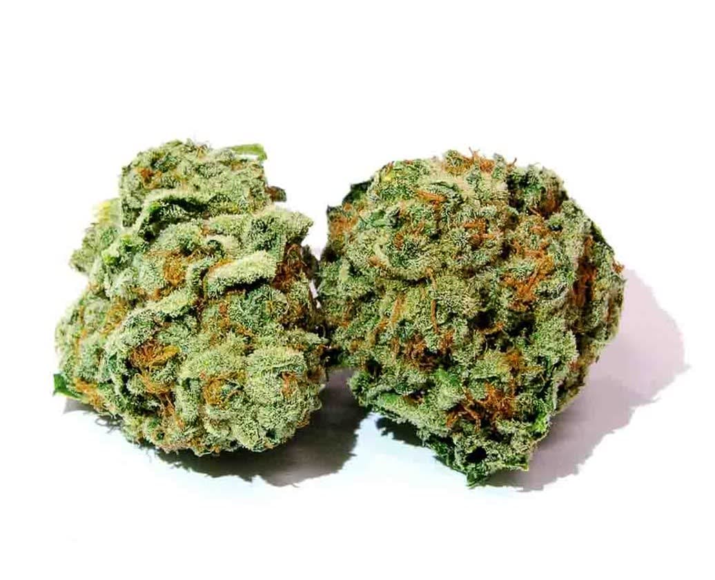 CBD Blüten kaufen – Warum du auf unsere Blüten nicht verzichten solltest