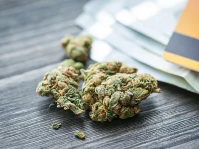 CBD Blüten kaufen – Warum du auf unsere Blüten nicht verzichten solltest