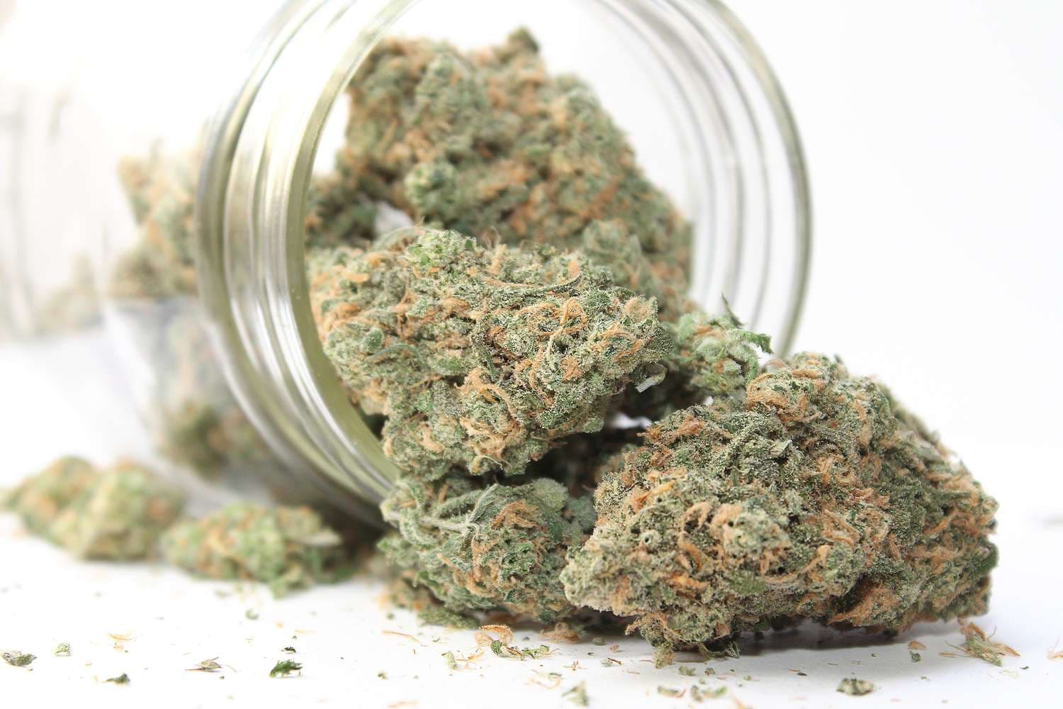 Verschiedene Genetiken ausprobieren – Weed Samen kaufen für Sammler