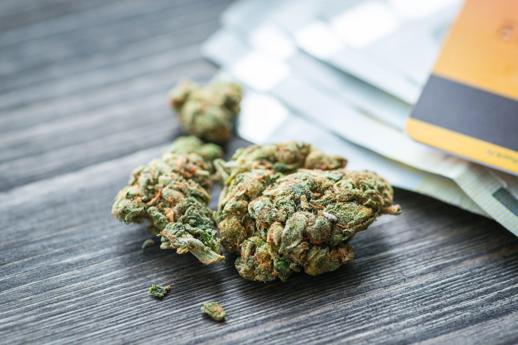 CBD Blüten kaufen – Warum du auf unsere Blüten nicht verzichten solltest