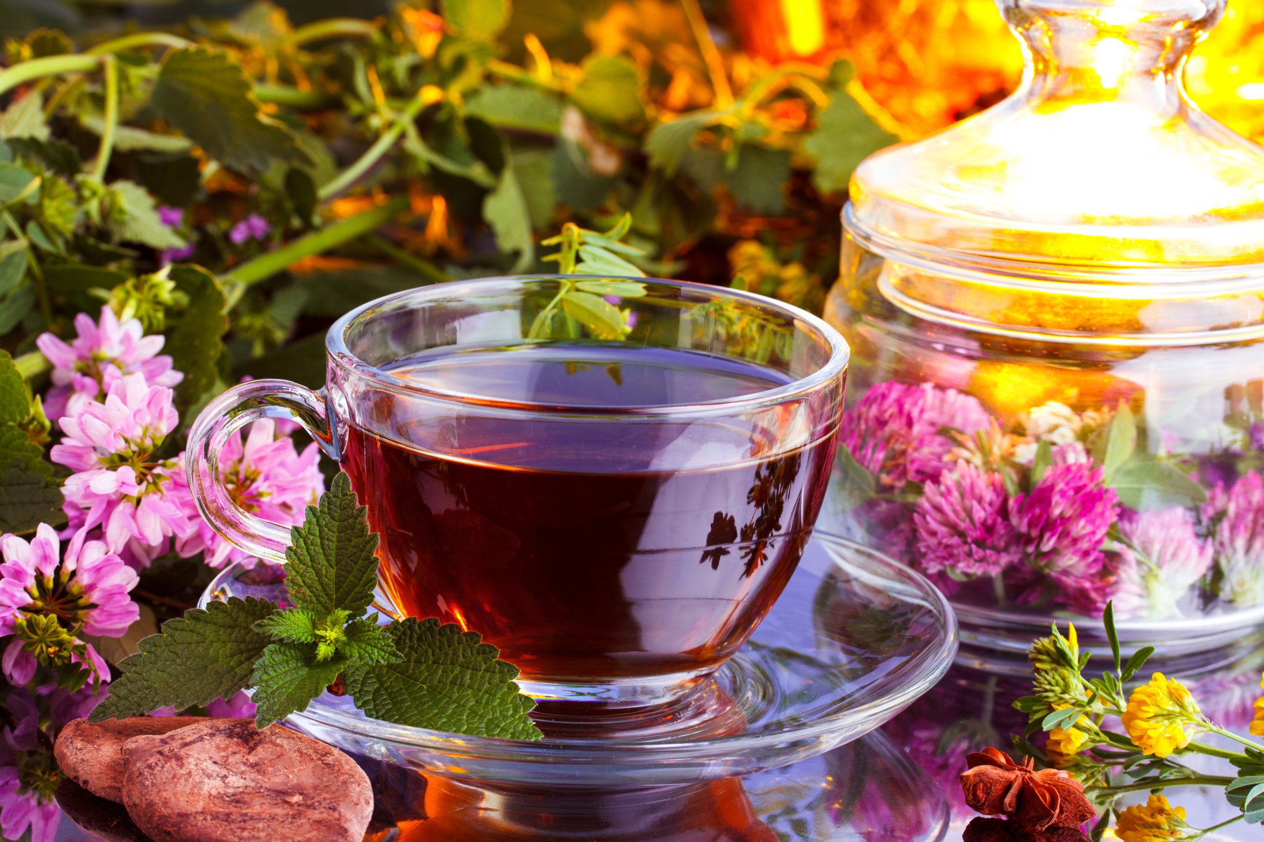 Bio Vielfalt erleben – Bio Kräutertee Geschenkset online kaufen in bester Qualität